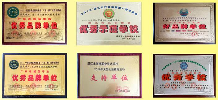 广东省湛港职业技术学校的学校荣誉