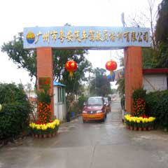 广州番禺南亭校区