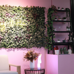 郑州到澳洲上课