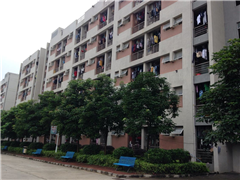 天河区珠吉路校区