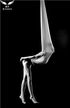 伽琪空中艺术培训