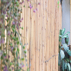 广州广美私塾校区