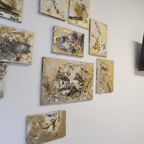 意大利博洛尼亚