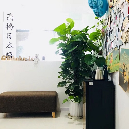 重庆大学城校区