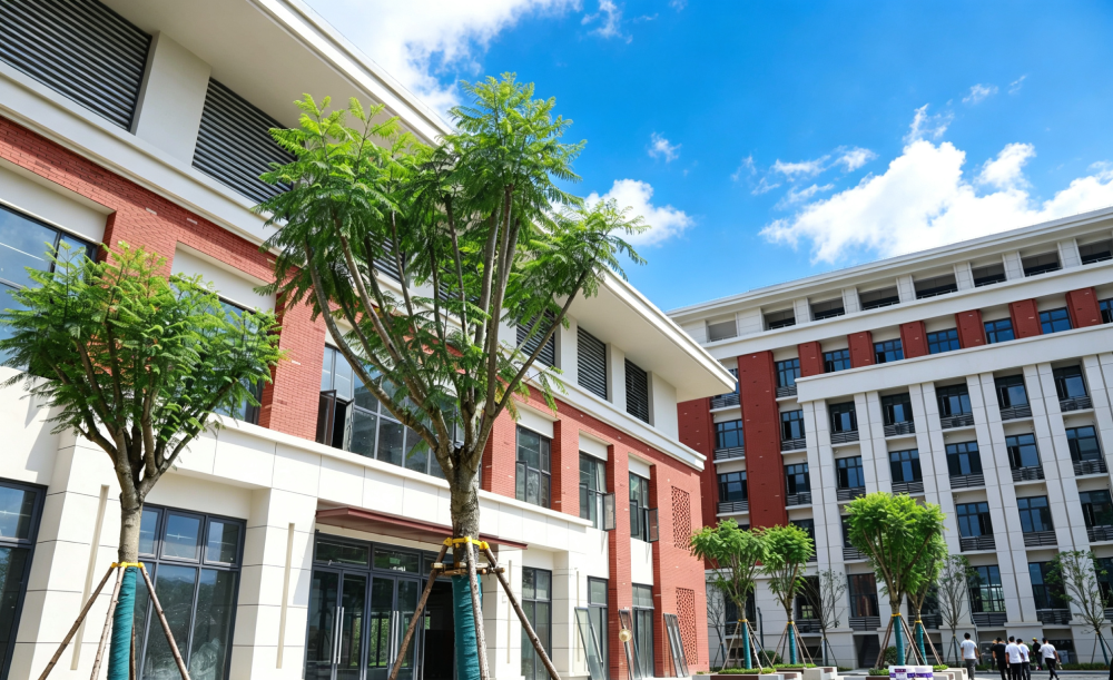 大学城校区