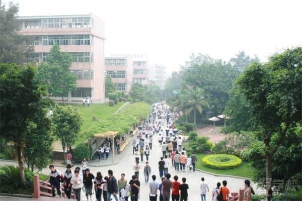 广东省电子商务技师学院的校道