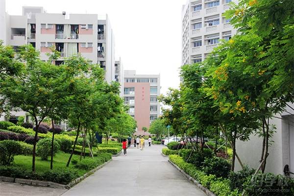 广州现代信息工程职业技术学院的校道